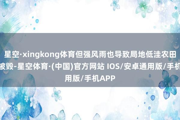 星空·xingkong体育但强风雨也导致局地低洼农田受淹被毁-星空体育·(中国)官方网站 IOS/安卓通用版/手机APP