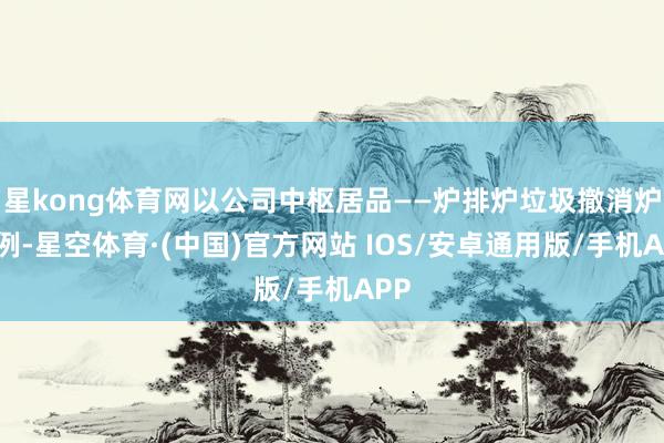 星kong体育网以公司中枢居品——炉排炉垃圾撤消炉为例-星空体育·(中国)官方网站 IOS/安卓通用版/手机APP