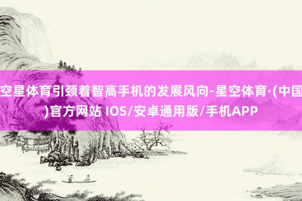 空星体育引颈着智高手机的发展风向-星空体育·(中国)官方网站 IOS/安卓通用版/手机APP