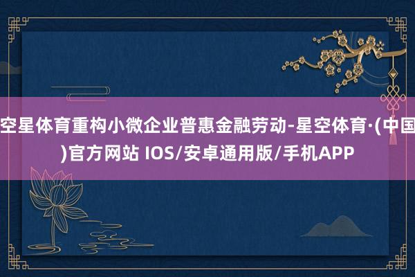 空星体育重构小微企业普惠金融劳动-星空体育·(中国)官方网站 IOS/安卓通用版/手机APP